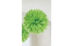 Pompom 48cm Groen