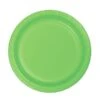 Kartonnen Bordjes Groen 18cm (20st)