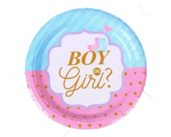 Bordjes Gender Reveal (8st)