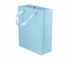 Kartonnen Cadeautas M Lichtblauw (12st)