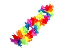 Hawaii Krans Regenboog