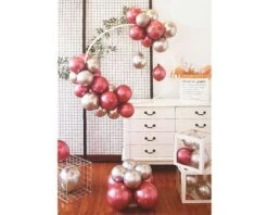 Ballonstandaard Met Cirkel -Daily Style Winkel img 1560 1