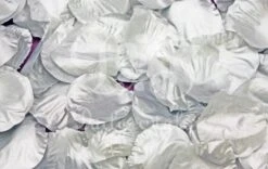 Rozenbladeren Zilver