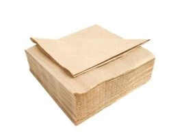 Servetten Eco Bruin (100st)