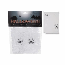 Spinnenweb Met 2 Spinnen