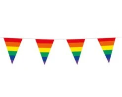 Vlaggenlijn Regenboog (10m)